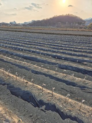 우리농원님의 자유주제 · 자유게시판 작성글 사진