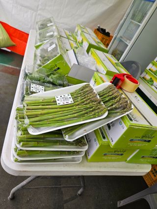 김시헌 님의 자유주제 · 자유게시판 작성글 사진