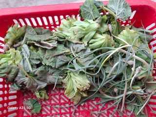 권순익님의 자유주제 · 자유게시판 작성글 사진