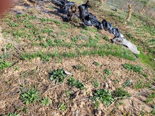 이연종님의 자유주제 · 자유게시판 작성글 사진