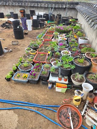 자연인님의 자유주제 · 자유게시판 작성글 사진