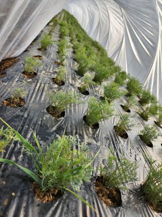 보은 김영순님의 자유주제 · 자유게시판 작성글 사진