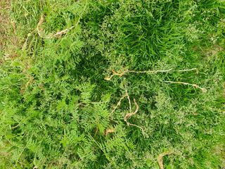 김양석님의 자유주제 · 자유게시판 작성글 사진