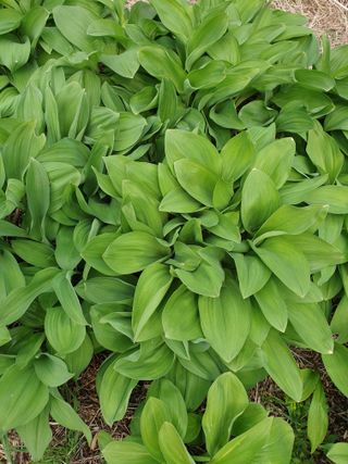 김시헌 님의 자유주제 · 자유게시판 작성글 사진