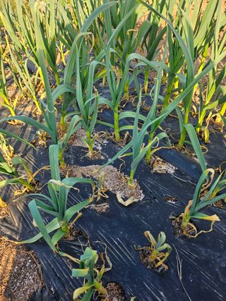 조순범님의 자유주제 · 자유게시판 작성글 사진