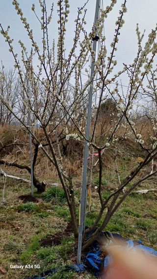 박원용님의 자유주제 · 자유게시판 작성글 사진