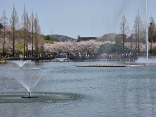 최동구님의 자유주제 · 사진전 작성글 사진