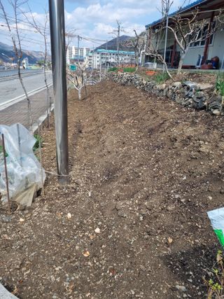 김용대님의 자유주제 · 자유게시판 작성글 사진