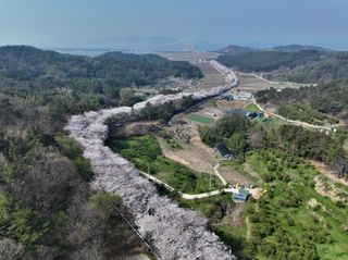 국중선님의 자유주제 · 자유게시판 작성글 사진