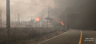 김길성님의 자유주제 · 자유게시판 작성글 사진