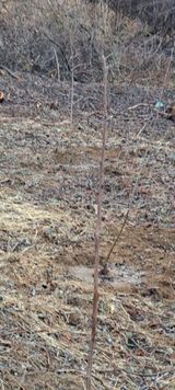 팜모닝 농사, 무엇이든 물어보세요!·참여글 게시글 이미지