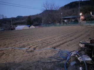 영수농원님의 자유주제 · 자유게시판 작성글 사진