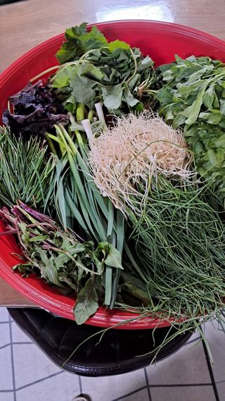 bpjh9173님의 자유주제 · 자유게시판 작성글 사진