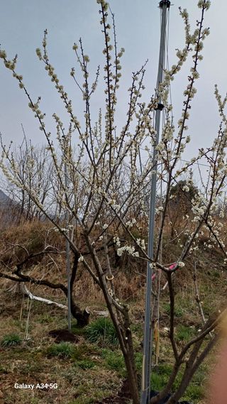 박원용님의 자유주제 · 자유게시판 작성글 사진