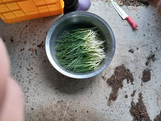 알 수 없음님의 자유주제 · 자유게시판 작성글 사진