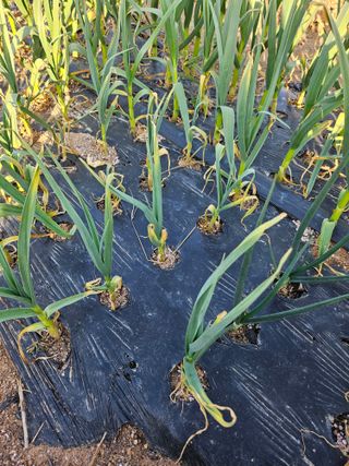 조순범님의 자유주제 · 자유게시판 작성글 사진