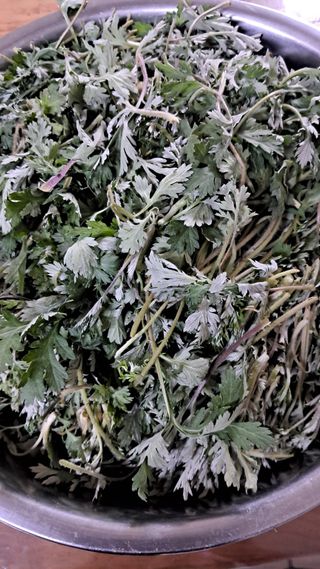 bpjh9173님의 자유주제 · 자유게시판 작성글 사진