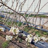 팜모닝 자유주제·자유게시판 게시글 이미지