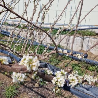 황대규님의 자유주제 · 자유게시판 작성글 사진