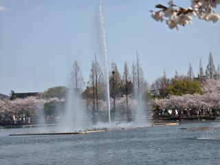 최동구님의 자유주제 · 사진전 작성글 사진