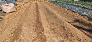 힐링농장님의 자유주제 · 자유게시판 작성글 사진