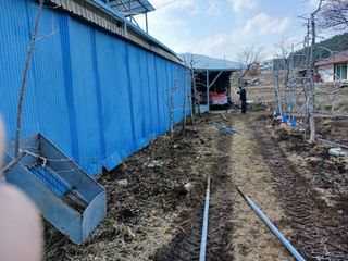 알 수 없음님의 자유주제 · 자유게시판 작성글 사진