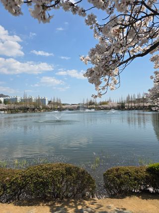 최동구님의 자유주제 · 사진전 작성글 사진