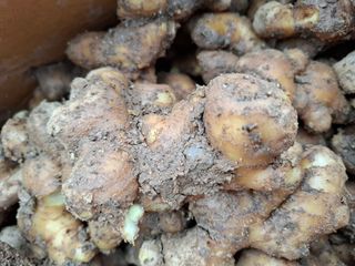 초원에빛님의 자유주제 · 건의해요 작성글 사진