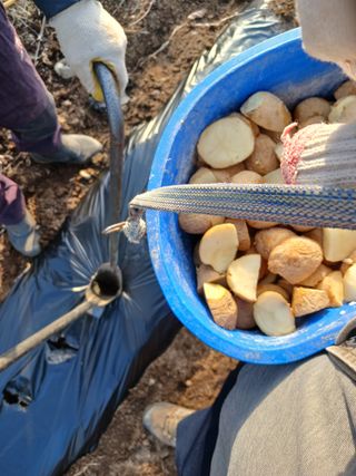 알 수 없음님의 자유주제 · 자유게시판 작성글 사진