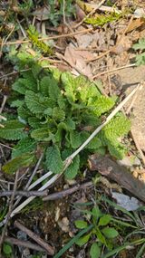 팜모닝 자유주제·자유게시판 게시글 이미지