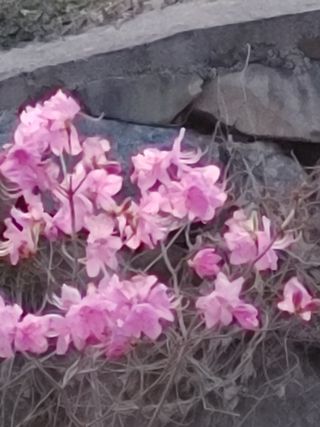 ์๊ธธ์๋์ ์์ ์ฃผ์ ยท ์์ ๊ฒ์ํ ์์ฑ๊ธ ์ฌ์ง