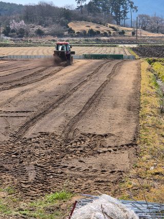 김영진(전남영광)님의 자유주제 · 자유게시판 작성글 사진