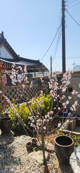 팜모닝 자유주제·자유게시판 게시글 이미지