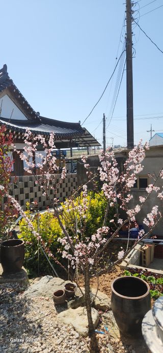 자연그대로님의 자유주제 · 자유게시판 작성글 사진