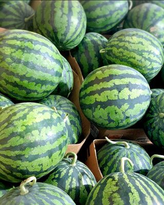 농부손녀님의 작성글 사진