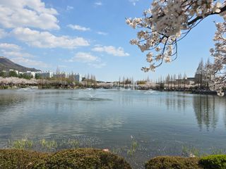 최동구님의 자유주제 · 사진전 작성글 사진