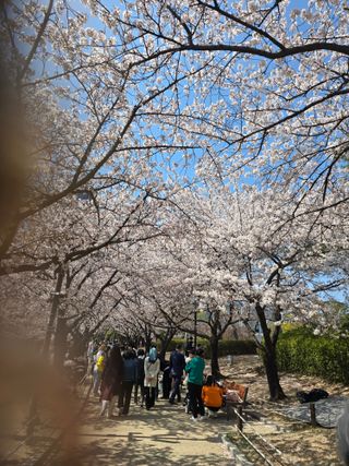 최동구님의 자유주제 · 사진전 작성글 사진