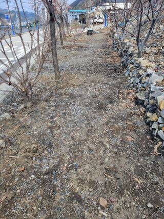 김용대님의 자유주제 · 자유게시판 작성글 사진