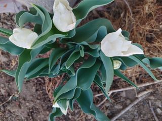 ์๊ธธ์๋์ ์์ ์ฃผ์ ยท ์์ ๊ฒ์ํ ์์ฑ๊ธ ์ฌ์ง