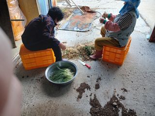 알 수 없음님의 자유주제 · 자유게시판 작성글 사진