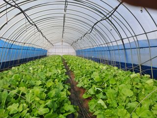 성실한 농부님의 자유주제 · 자유게시판 작성글 사진