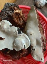 팜모닝 자유주제·자유게시판 게시글 이미지