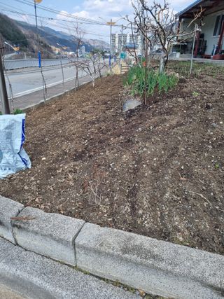 김용대님의 자유주제 · 자유게시판 작성글 사진