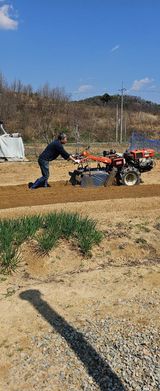 팜모닝 자유주제·자유게시판 게시글 이미지