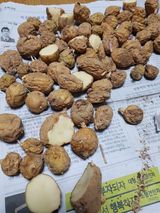 팜모닝 자유주제·자유게시판 게시글 이미지