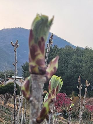 산골짜기농민님의 자유주제 · 자유게시판 작성글 사진