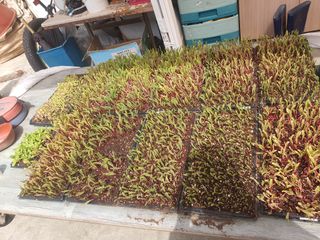 옥천서화농님의 자유주제 · 자유게시판 작성글 사진