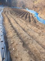 팜모닝 자유주제·자유게시판 게시글 이미지