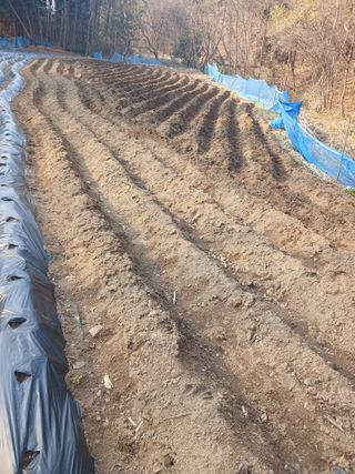 전국하님의 자유주제 · 자유게시판 작성글 사진