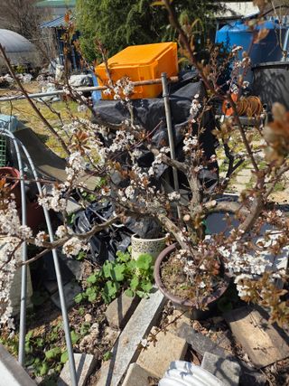 참살이님의 자유주제 · 자유게시판 작성글 사진